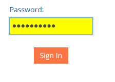 Password Visual.png